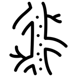 Massima circolazione